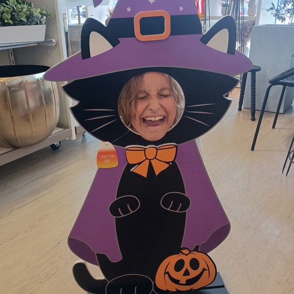 Meet your Posher, Brittany - Picture 2 of 3